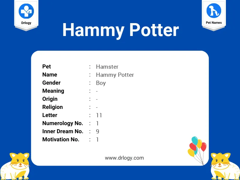 Hammy Potter Name Meaning